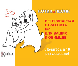 Online страховка "Котик&Песик"