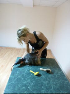 Салон красоты для животных в зооцентре Любимец