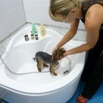 Салон красоты для животных в зооцентре Любимец